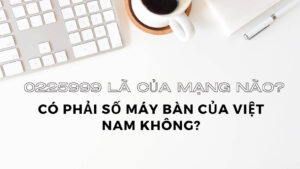 0225999-la-cua-mang-nao-co-phai-so-may-ban-viet-nam-khong
